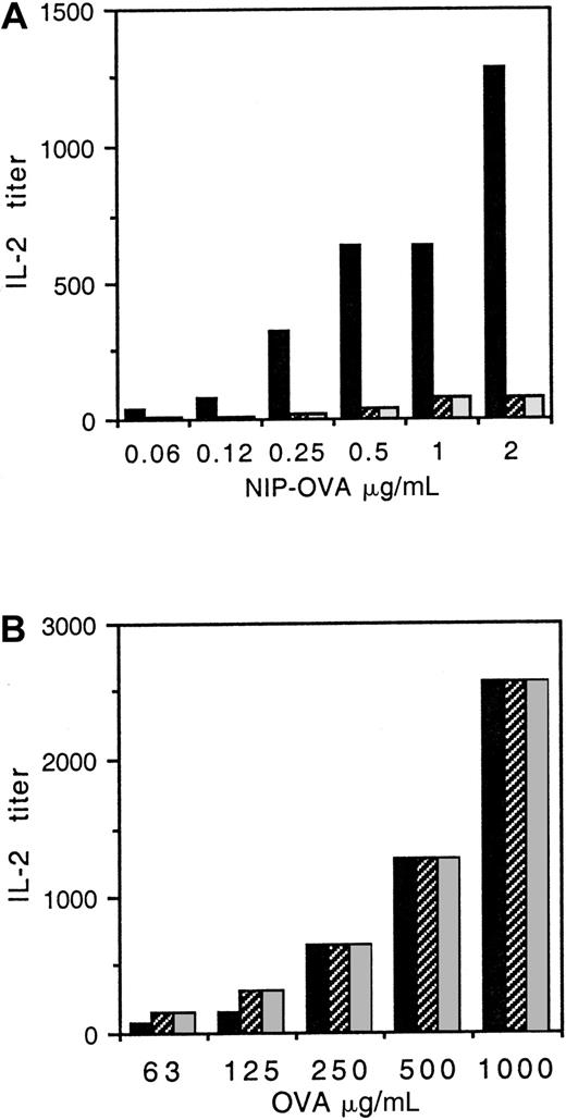 Fig. 1. Presentation of IgA-OVA by FcαR/γ-chain transfectants is diminished in cells with altered γ chain. / (A) IIA1.6 B cells were cotransfected with FcαR and either WT γ chain (indicated with black bars), γ chain with IIA ITAM (indicated with cross-hatched bars), or γ chain with Y→ F mutation (indicated with gray bars). Transfectants and DO-11-10 OVA-specific T cells were incubated with various concentrations of NIP-haptenated OVA (NIP-OVA) opsonized with an IgA anti-NIP antibody. IL-2 secretion by the T cells was quantified as a measure of antigen presentation, as described in “Materials and methods.” (B) Nontargeted OVA is presented equally by WT or altered γ-chain transfectants. FcαR transfectants with WT γ chain (indicated with black bars), IIA ITAM γ chain (indicated with cross-hatched bars), or Y→ F γ chain (indicated with gray bars) were incubated together with DO-11-10 T cells and OVA at the concentrations indicated, and IL-2 secretion was measured as given in panel A. Similar results were obtained in 3 separate experiments.