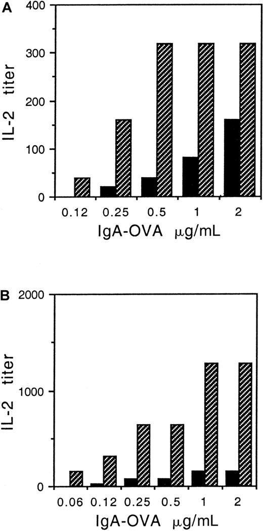 Fig. 7. Defective presentation of IgA-OVA is restored by BCR ligation. / IIA1.6 cells transfected with (A) FcαR + IIA ITAM γ chain or (B) FcαR + Y→F mutant γ chain were incubated with DO-11-10 T cells and increasing concentrations of IgA-complexed NIP-OVA (NIP-OVA) with (indicated by cross-hatched bars) or without (indicated by black bars) ligation of BCR with 10 μg/mL anti-mIgG. IL-2 secretion by the T cells, a measure of antigen presentation, was assayed as described in “Materials and methods.” Similar results were obtained in 3 separate experiments.