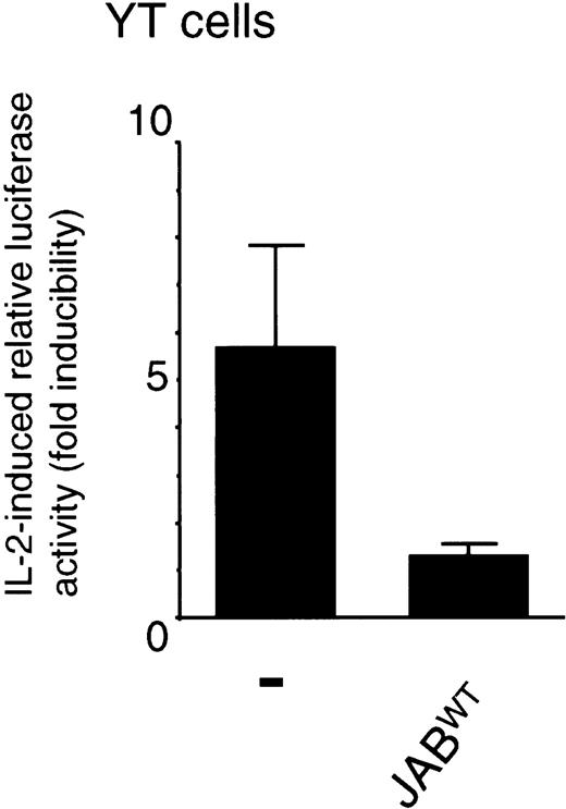 Fig. 4. IL-2–induced Stat5-dependent transcription is inhibited by JAB/SOCS1/SSI-IWT. / YT cells were transfected using the DEAE dextran method according to standard protocols with 2 μg β-casein luciferase reporter, 20 ng pRL-TK control reporter, and with or without 5 μg JAB/SOCS1/SSI-1WT cDNA. Twenty-four hours later the cells were either left untreated or stimulated with 10 nM IL-2 for 24 hours. The data are the mean ± SD of normalized luciferase values of 4 experiments. The normalized luciferase values (average ± SD) of cells transfected with control plasmid were 2.3 ± 0.7 and 12.6 ± 4.3, and the values of JAB/SOCS1/SSI-1WT–transfected cells were 1.8 ± 0.1 and 2.2 ± 0.4.