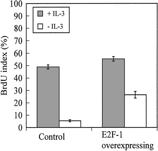 Fig. 2. BrdU-incorporation assay. / Overexpression of E2F-1 promotes cell cycle progression in BaF-B03 cells following cytokine growth factor withdrawal. Both cell populations were cultured with or without IL-3 for 11 hours and then pulsed with 25 mM BrdU for 1 hour. BrdU incorporation was determined by indirect immunofluorescence microscopy.