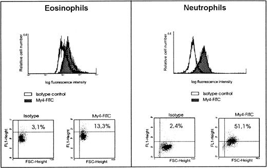 Fig. 5. Expression of CD14 on eosinophils and neutrophils as determined by FACS analysis. / For immunofluorescent staining of eosinophils and neutrophils, anti-CD14 moAb (My4-FITC, IgG2b) and the isotype control IgG2b-FITC were used. Representative data on CD14 expression on eosinophils compared with neutrophils are shown.