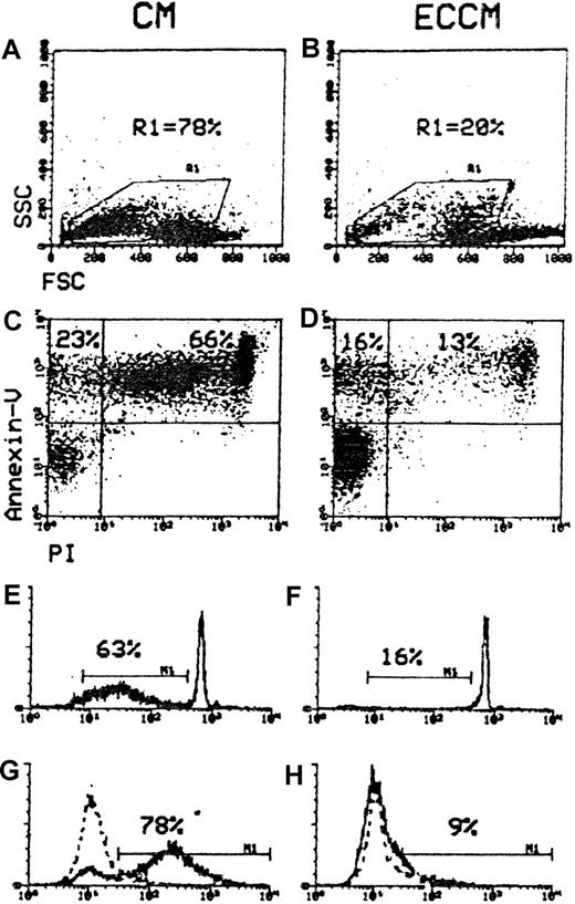 Fig. 2. Comparison of cytofluorometric methods for quantifying apoptotic cells. / B-CLL cells were subjected to one of the 4 assays for apoptosis quantitation after incubation for 48 hours in CM and ECCM. (A, B) Gate R1 was drawn around apoptotic cells, which can be distinguished from living cells through their decreased FSC and increased SSC characteristics. (C, D) The upper left quadrant (annexin-V+/PI−) represents the early apoptotic cells, and the upper right quadrant (annexin-V+/PI) contains the late apoptotic cells. M1 defines the percentages of B-CLL cells with hypodiploid DNA content (E, F) and TUNEL+ signal (G, H). Dotted lines show control staining. Numbers at the top of each cytogram represent the percentages of apoptotic cells. Data are representative of 5 experiments.