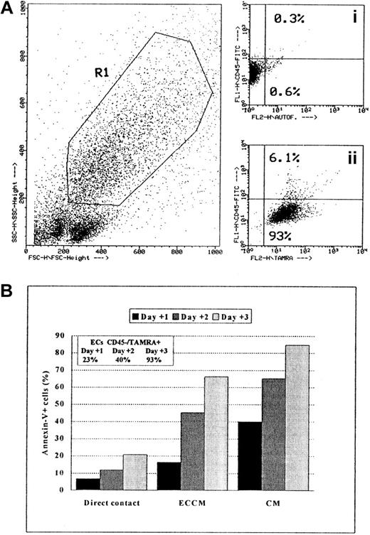 Fig. 5. Phagocytic capacity of ECs measured by flow cytometry. / Nonapoptotic B-CLL cells were labeled with the fluorophore TAMRA, as described in “Materials and methods.” (A) Dot-plot (FSC/SSC) of ECs and TAMRA-labeled B-CLL cells after 3 days of coculture is shown. Gate R1 was drawn around ECs according to FSC/SSC criteria. Dot plots of FL1 (y-axis)/FL2 (x-axis): (Ai) CD45 expression (FL1) and FL2-autofluorescence of ECs only; (Aii) CD45 and TAMRA (FL2) signals on ECs gated on R1 after 3 days of coculture. (B) Ingestion kinetics of apoptotic cells by ECs after 1, 2, and 3 days of coculture. Values represent means of triplicate samples from one representative experiment. SEM was always less than 5%.