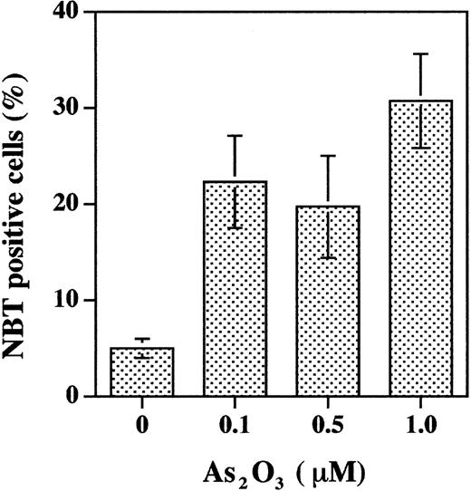 Fig. 1. As2O3 treatment of primary cultured APL blasts induces differentiation. / APL cells in primary culture were treated with indicated concentrations of As2O3 for 6 days. NBT reduction was used to evaluate differentiation. The data are obtained from 3 separate studies.
