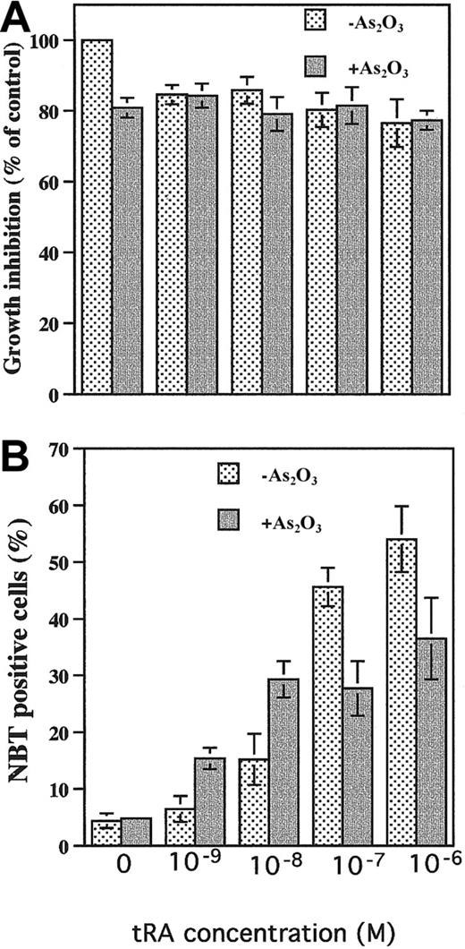 Fig. 2. Effects of As2O3 on tRA-induced differentiation in NB4 cells. / (A) Growth inhibition. NB4 cells were treated with 0.5 μM As2O3 with or without tRA at indicated concentrations for 4 days. (B) Differentiation. The NB4 cells were treated with indicated concentrations of tRA with or without 0.5 μM As2O3 for 4 days. NBT reduction was used to measure differentiation.