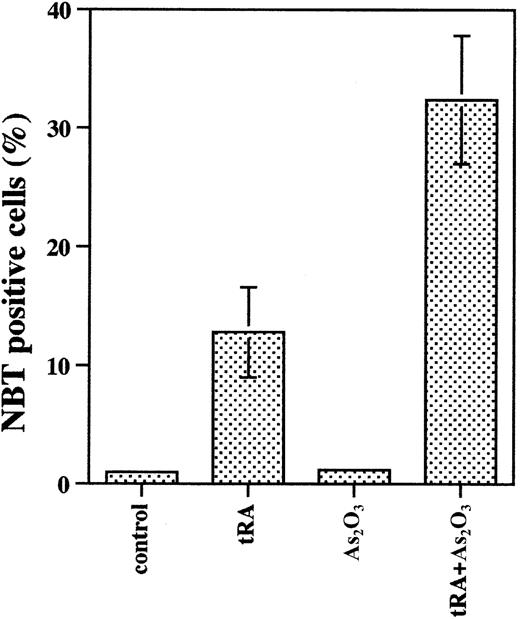 Fig. 3. Selenium supplementation enhanced differentiation of NB4 cells treated with As2O3 combined with tRA. / NB4 cells were cultured in medium with 100 nM selenium for several passages and then treated with 1 μM As2O3plus 10 nM tRA for 4 days. NBT reduction was used to determine differentiation induction.