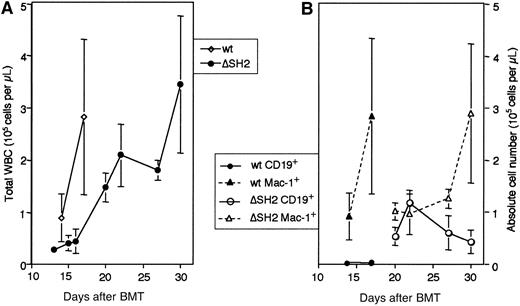 Fig. 4. Expansion of myeloid and B-lymphoid cells in Bcr-Abl versus Bcr-Abl/ΔSH2 mice. / The average numbers of total WBCs (A) and B-lymphoid and myeloid cells (B) in 4 Bcr-Abl versus 8 Bcr-Abl/ΔSH2 mice at different days after BMT were plotted. SDs are shown as error bars.