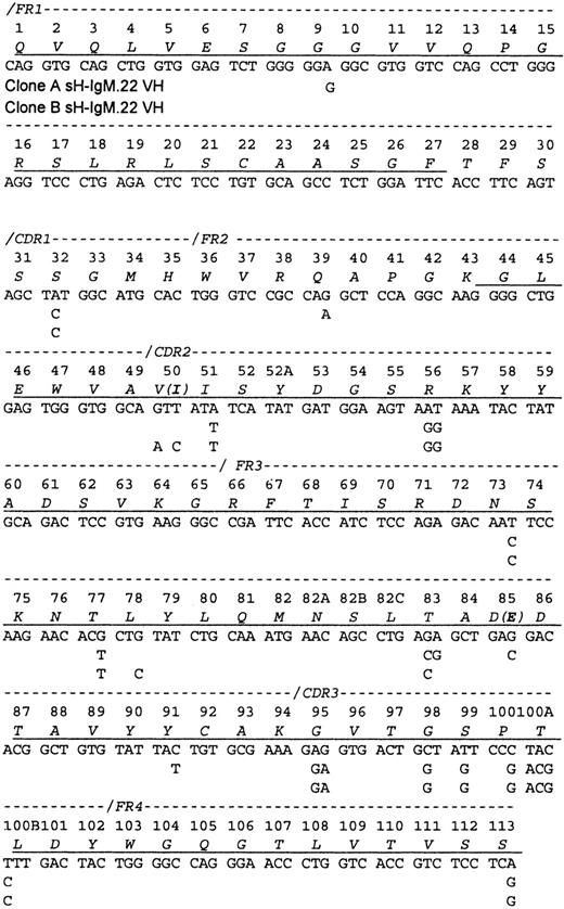 Fig. 1. Sequence of the sH-IgM.22 VH. / The sequence is aligned according to the numbering system of human VH sequences in Kabat et al.26 The sH-IgM 22 VH is a member of VH subgroup III. Underlined amino acids have been confirmed by protein sequencing. Amino acid sequence corresponds to sH-IgM.22 nucleotide sequence. sH-IgM.22 VH type A and type B sequences are represented only with nucleotides that differ from IGHV3-30/3-30-05*01, IGHJ4*02, and IGHD2-21*02 germline sequences.27 Two amino acid replacements in the protein sequence of SH-IgM.22 VH type B are printed in parentheses.
