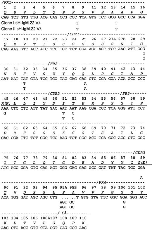 Fig. 2. Sequence of the sH-IgM.22 Vλ. / The sequence is aligned according to the numbering system of human Vλ sequences in Kabat et al.26 Vλ of sH-IgM.22 is a member of the lambda subgroup I. The underlined amino acids have been confirmed by protein sequencing. Amino acid sequence corresponds to sH-IgM.22 nucleotide sequence. sH-IgM.22 Vλ type I and II sequences are represented only with nucleotides that differ from IGLV1-51*01 and IGLJ3*01 germline sequences.27 Two amino acid replacements in the protein sequence of SH-IgM.22 Vλ type II are printed in parentheses. Reference for germline sequences on both figures are IMGT.27