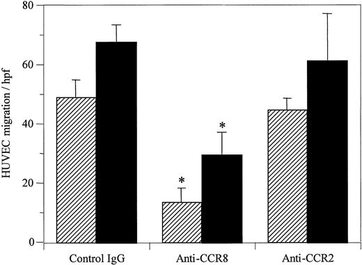 Fig. 2. Polyclonal goat antibody against CCR8 inhibits the chemotaxis of HUVECs in response to I-309 and vMIP-I. / I-309 (▨; 100 ng/mL) and vMIP-I (▪; 100 ng/mL) were tested for endothelial cell chemotactic activity as detailed in “Materials and methods.” Prior to assay, the indicator HUVECs were incubated either with normal goat IgG, goat polyclonal antibody against CCR8 (anti-CCR8), or goat polyclonal antibody against CCR2 (anti-CCR2) (1 μg/mL) for 30 minutes at 37°C. The anti-CCR8 significantly inhibited endothelial chemotaxis as induced by I-309 and vMIP-I (*P < .001). hpf, high power field.