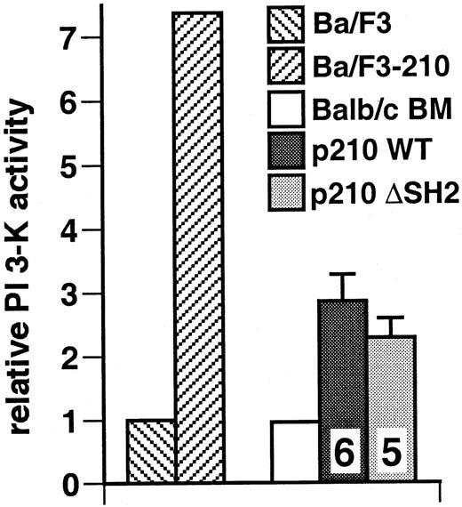 Fig. 9. The SH2 domain of p210 Bcr/Abl is not required for activation of PI 3-kinase in malignant myeloid cells from mice with CML-like disease. / Lysates from spleen cells or peripheral blood leukocytes from mice with CML-like disease induced by wild-type p210 and the p210 ΔSH2 mutant were assayed for PI 3-kinase activity in antiphosphotyrosine immunoprecipitates. Wright-Giemsa staining of cytospin preparations indicated that all populations were more than 90% maturing myeloid cells (neutrophils, macrophages, and erythroid cells for spleen, and neutrophils, metamyelocytes, and myelocytes for peripheral blood) (data not shown). Results represent the mean and standard error of PI 3-kinase activity in cell lysates from several independent animals for each genotype, with the number of samples analyzed indicated. As controls, Ba/F3 parental cells or a population transformed with wild-type p210 BCR/ABL (Ba/F3-210) and untransduced bone marrow from Balb/c mice (more than 70% maturing myeloid and erythroid cells by cytospin analysis) were used. The difference in mean PI 3-kinase activity between p210 WT and p210 ΔSH2 was not significant (P = .41, Student t test).