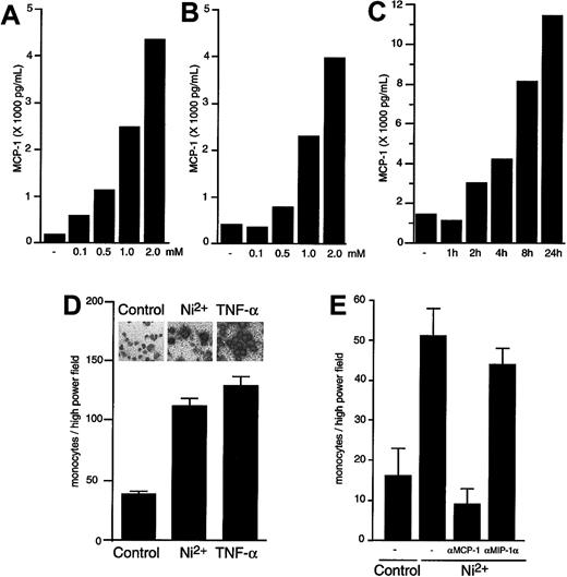 Fig. 1. Effect of NiCl2 on expression of functional MCP-1. / NiCl2 induces expression of functional MCP-1 in a time- and concentration-dependent manner. (A-C) HUVECs (A, C) or HDMECs (B) were cultured for 4 hours in the presence of 0, 0.1, 0.5, 1.0, and 2.0 mM NiCl2 (A- B) or for 0, 1, 2, 4, 8, or 24 hours in the presence of 1.5 mM NiCl2 (C). Supernatants were then harvested and studied for MCP-1 content by ELISA. The SEM of each point did not exceed 5% of the mean value. (D-E) HUVECs (D) or HDMECs (E) were exposed to 1.0 mM NiCl2, 1 ng/mL TNFα, or medium as control for 8 hours. Subsequently, supernatants were harvested and studied for monocyte chemotactic activity by means of chemotaxis assays as described in “Materials and methods.” In panel E, chemotaxis was determined in the absence or presence of neutralizing polyclonal goat IgG against human MCP-1 or MIP-1α as indicated. Migrated cells were counted in 4 high power fields per well; each supernatant was evaluated in triplicate. Results are presented as mean ± SEM. The inset in panel D visualizes MCP-1 mRNA expression by HUVECs exposed to medium, 1.0 mM NiCl2, or 1 ng/mL TNFα as indicated. The mRNA expression was detected at a single cell level by in situ hybridization.