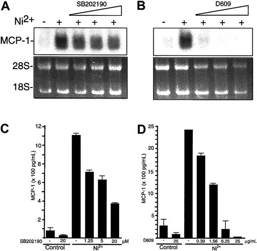 Fig. 3. Inhibition of NiCl2-induced MCP-1 mRNA and protein expression by pharmacological blockade of p38 and PC-PLC. / (A-B) HUVECs were cultured for 8 hours in the absence or presence of 1.25, 5, or 20 μM SB202190 (A) or 1.56, 6.25, or 25 μg/mL D609 (B) and stimulated with 1.5 mM NiCl2 as indicated. Thereafter, HUVECs were processed for detection of MCP-1 mRNA by Northern blot analysis. To control equal RNA loading of Northern blot lanes, ethidium bromide stains of 18S and 28S rRNA are shown. (C-D) Supernatants from HUVECs exposed to 1.25, 5, or 20 μM SB202190 (C) or 0.39, 1.56, 6.25, or 25 μg/mL D609 (D) 30 minutes before and during a 12-hour period of stimulation with 1.5 mM NiCl2 were studied for MCP-1 content by ELISA. Data are expressed as mean ± SE of duplicate wells from 2 independent experiments.