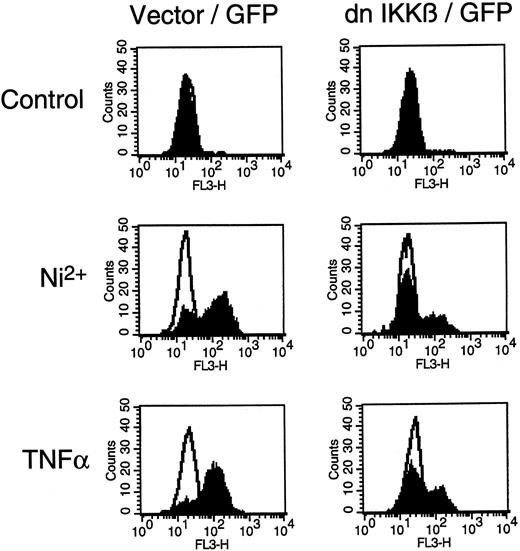 Fig. 7. Inhibition of NiCl2-induced endothelial MCP-1 expression by dominant-negative IKKβ. / HUVECs were transfected in a 1:3 ratio with pGreenLantern expressing GFPS65T and a plasmid expressing either empty expression vector or dominant-negative IKKβ (dn IKKβ). Cells were left unstimulated or exposed to 1.5 mM NiCl2 or 2 ng/mL TNFα for 12 hours. Successfully transfected cells, ie, cells labeled by green fluorescent protein, were analyzed for MCP-1 expression by flow cytometry as described in “Materials and methods.” Flow cytometry profiles of one representative experiment are shown. Open profiles represent isotype controls; shaded profiles indicate cells intracellularly labeled for MCP-1 expression.