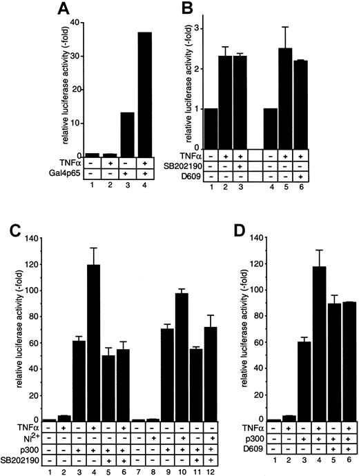 Fig. 9. Effect of SB202190 and D609 on p65 activity and of SB202190 on TNFα- and NiCl2-induced function of p300. / SB202190 and D609 do not inhibit modulation of p65 activity, but SB202190 blocks TNFα- and NiCl2-induced function of p300. (A-B) HUVECs were transiently transfected with plasmids expressing luciferase under control of a 5xGal4 binding site–containing promoter (A, lanes 1 and 2) or were cotransfected with a vector expressing a Gal4-p65 fusion protein (A, lanes 3 and 4, and B). (C) HUVECs were transiently transfected with 1 μg MCP-1 ENH promoter or were cotransfected with 0.5 μg CMVp300 (lanes 3 through 6 and 9 through 12). In all experiments, 36 hours after transfection, cells were either left untreated or stimulated with 2 ng/mL TNFα (lanes 2, 4, 6) or 1.5 mM NiCl2 (lanes 8, 10, 12) in the presence or absence of 20 μM SB202190. Equal transfection and expression efficiencies were controlled by coexpression of a CMV-driven β-Gal reporter gene construct (data not shown). (D) Experiments were performed as in panel C, but SB202190 was replaced by 10 μg/mL D609. Relative luciferase activity is expressed as fold stimulation. In panel B, Gal4-promoter transactivation by expression of Gal4p65 in the absence of TNFα is arbitrarily set as 1, and fold activation of TNFα-induced activity is calculated. Mean values ± SEM from up to 8 independent transfections are shown.