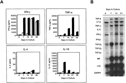 Fig. 4. Cytokine production by the expanded CD8+ NKT cells. / Splenocytes were cultured as described, and at the indicated time points cells were assayed for cytokine production with or without stimulation with PHA. (A) Production of IFN-γ, TNF-α, IL-4, and IL-10 was assayed by ELISA. ■ indicates control; ▪, PHA. (B) mRNA production for a broad array of other cytokines was assessed, using an RNase protection assay.
