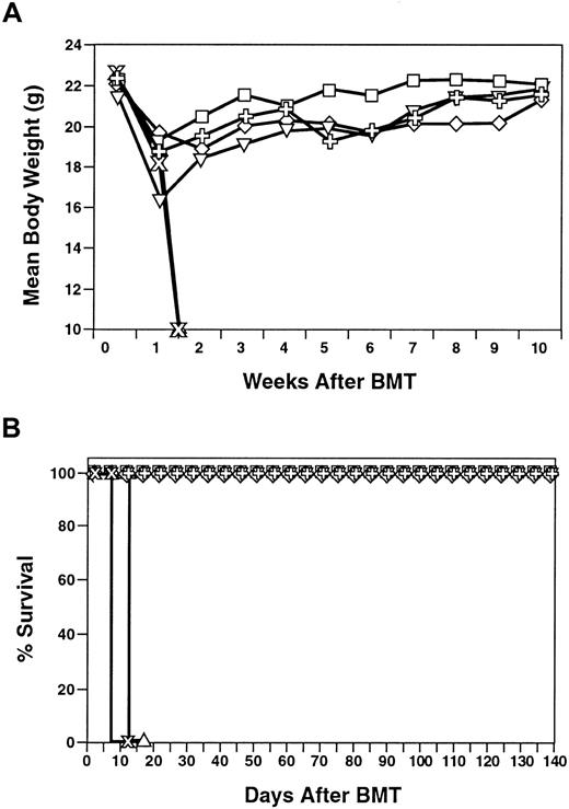 Fig. 7. Induction of GVHD by CD8+ NKT cells across histocompatibility barriers. / Donor (C57BL/6) (H-2b) splenocytes or expanded CD8+ NKT cells at the indicated doses were injected into lethally irradiated Balb/c (H-2d) recipients. Mean body weight (top panel) and survival (bottom panel) are presented. ▵ indicates XRT; , splenocytes; ■, BM; ✙, NK − T cells 20 × 106; ⋄, NK − T cells 10 × 106; and ▿, NK − T cells 5 × 106.