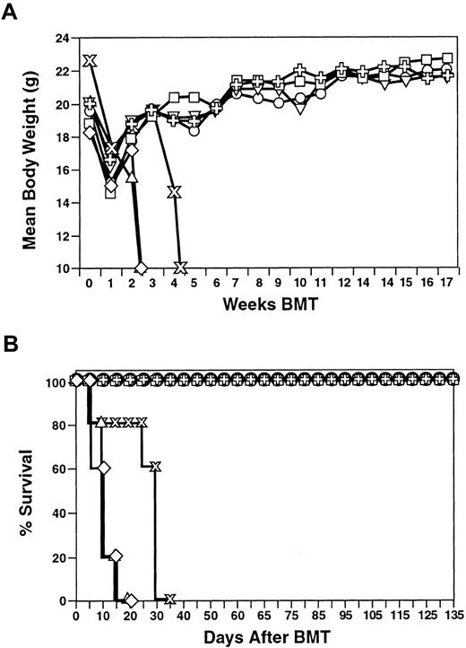 Fig. 8. Role of interferon-γ production in GVHD induction. / CD8+ NKT cells were expanded from different deficient and KO strains of animals on the C57BL/6 background as indicated. Cells (2 × 107) were adoptively transferred into lethally irradiated (400 cGy ×2) Balb/c (H-2d) mice rescued with 107 BM derived from C57BL/6 (H-2b) animals and monitored for signs and symptoms of GVHD (weight loss) and survival. Mean body weight (top panel) and overall survival (bottom panel) are presented. Results of IFN-γ KO animals are representative of 5 experiments. ▵ indicates XRT;, splenocytes; ⋄, IFN-γ; ■, IL-2; ○, gld; ▿, Ipr; and ✙, pfp.