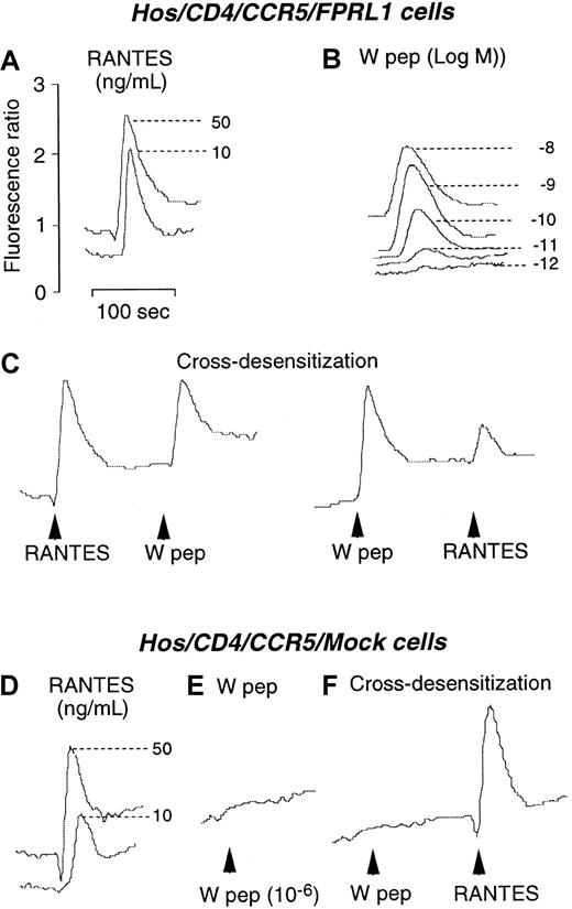 Fig. 2. Calcium mobilization in Hos/CD4/CCR5 cells coexpressing FPRL1 or pcDNA3 vector (Mock). / (A) and (B) Ca++ flux by Hos/CD4/CCR5/FPRL1 cells in response to RANTES and W peptide. (C) Sequential stimulation of Hos/CD4/CCR5/FPRL1 cells with RANTES (50 ng/mL) and W peptide (10 nM) or vice versa. (D) and (E) Ca++ flux in Hos/CD4/CCR5/Mock cells induced by RANTES and W peptide. (F) Sequential stimulation of Hos/CD4/CCR5/Mock cells with W peptide (1 μM) and RANTES (50 ng/mL).