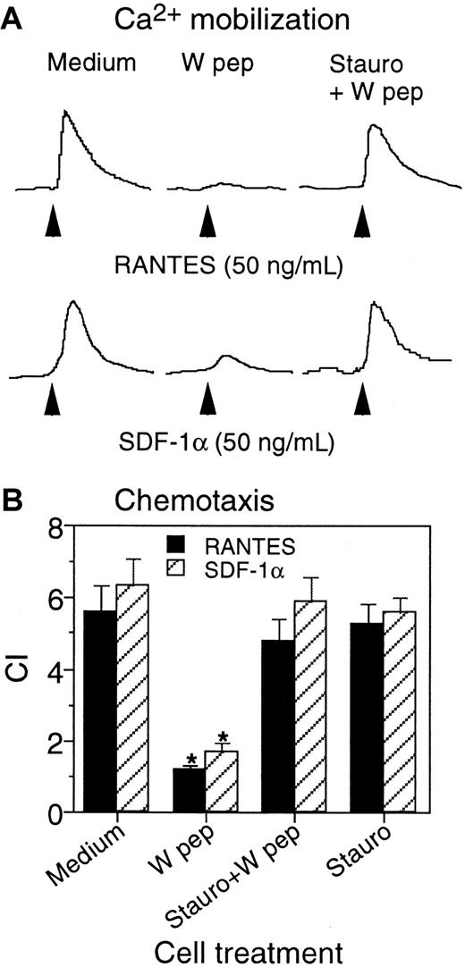 Fig. 6. Effect of W peptide on macrophage response to chemokines RANTES and SDF-1α. / Human macrophages generated by incubating monocytes with 5% human AB serum for 4 days were preincubated at 37°C with W peptide (1 μM, 1 hour; W pep) of staurosporine (1.4 ng/mL, 1 hour) followed by W peptide (1 μM, 1 hour; Stauro+W pep). The cells were washed and examined for Ca++ flux (A) and chemotaxis (B) in response to RANTES or SDF-1α (50 ng/mL each). The asterisk indicates significantly reduced cell response in cells treated with W peptide in comparison with cells treated with medium (Medium).