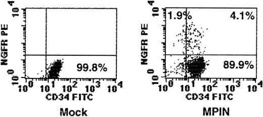 Fig. 7. Retroviral vector gene transfer by MPIN into CD34+ cells from a normal donor. / GPI-AP (CD59) and NGFR surface expression of the transduced CD34+ MNCs from the peripheral blood of a normal donor on day 5.
