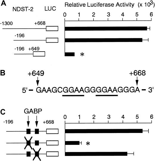 Fig. 4. Luciferase assay in MST cells that are spontaneously expressing the. / NDST-2 gene. (A) Luciferase activity under the control of promoter region and 5′-UTR of the NDST-2 gene in MST cells. (B) A part of 5′-UTR of the NDST-2 gene between +649 and +668. Two GGAA motifs are underlined. (C) Luciferase activity of the reporter plasmid containing the intact GGAA motifs or the motifs mutated at either 5′-GGAA or 3′-GGAA sequence. The data represent the mean ± SE of 3 experiments. In some cases, the SE was too small to be shown by bars. *P < .01 by t test when compared with the luciferase activity obtained by the transfection of the reporter plasmid containing −196 to +668 region.