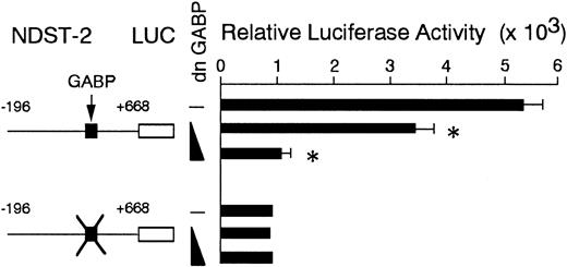 Fig. 7. The effect of coexpression of dominant negative GABP cDNA on the luciferase activity. / The reporter plasmids were transfected to MST cells with the expression plasmid containing the dominant negative GABP cDNA (5 or 10 μg). The transfected DNA was always kept in equal amount using the backbone expression vector in each transfection assay. The data represent the mean ± SE of 3 experiments. In some cases, the SE was too small to be shown by bars. P < .01 by t test when compared with the luciferase activity obtained by the cotransfection of the reporter plasmid with the expression vector alone.