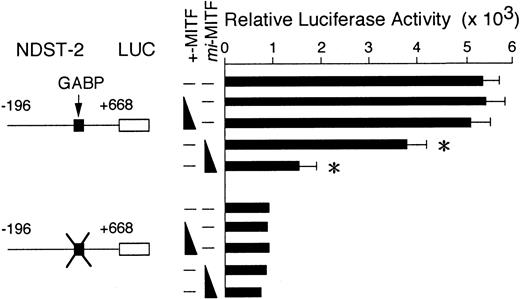Fig. 8. The effect of coexpression of +-MITF or. / mi-MITF cDNA on the luciferase activity. The reporter plasmids were transfected to MST cells with the expression plasmid containing +-MITF or mi-MITF cDNA (5 or 10 μg). The transfected DNA was always kept in equal amount using the backbone expression vector in each transfection assay. The data represent the mean ± SE of 3 experiments. In some cases, the SE was too small to be shown by bars. P < .01 by t test when compared with the luciferase activity obtained by the cotransfection of the reporter plasmid with the expression vector alone.