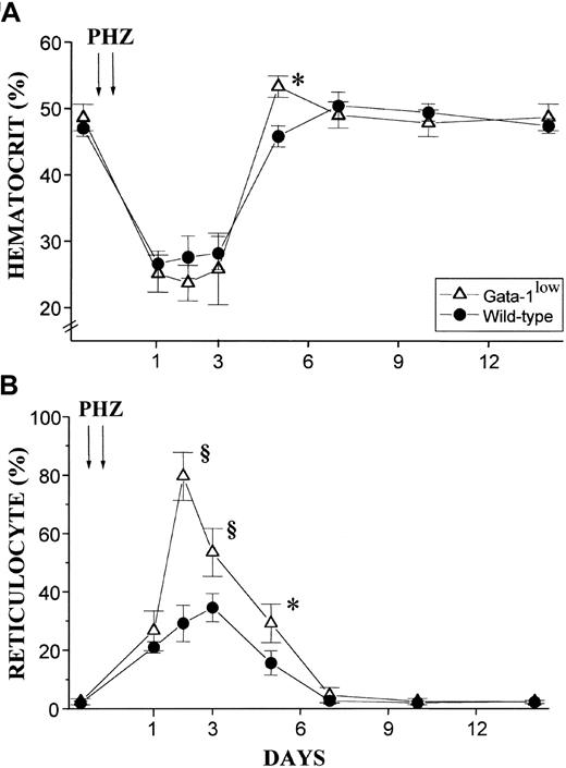 Fig. 8. Hematocrit and reticulocyte counts after PHZ treatment of normal and GATA-1low animals. / (A) (B) Hematocrit (panel A) and reticulocyte counts (in percentage of total red cells) (panel B) in the blood of wild-type (closed circles) and GATA-1low (open triangles) mice during recovery from anemia induced by PHZ (2 consecutive injections as indicated by the arrows). The day of the second PHZ injection was considered to be day 0. The results are presented as the mean ( ± SD) of the values observed in 18 wild-type and 12 GATA-1low mice. Values are statistically different. *P < .05. §P < .01.