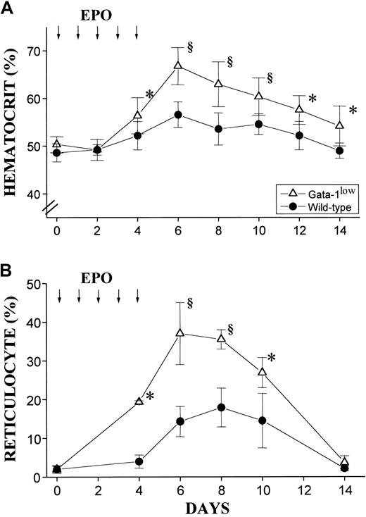Fig. 10. Hematocrit and reticulocyte counts in wild-type and GATA-1low mice during the EPO-induced polycythemia. / (A) (B) Hematocrit (panel A) and reticulocyte counts (in percentage of total red cells) (panel B) in the blood of wild-type (closed circles) and GATA-1low (open triangles) mice. Polycythemia was induced with 5 consecutive EPO intraperitoneal injections, as indicated by the arrows. The day of the first EPO injection was considered to be day 0. The results are presented as the mean ( ± SD) of the values observed in 12 wild-type and 8 GATA-1low mice. Values are statistically different. *P < .05. §P < .01.