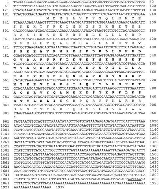 Fig. 1. Structure of mouse RGS18. / The deduced amino acid sequence of mouse RGS18 cDNA is shown in single-letter code under the respective codons. The bold amino acid sequence corresponds to the putative RGS domain. The polyadenylation signal is underlined. Accession number of this sequence was assigned as AB042807.