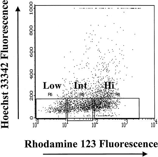 Fig. 1. Isolation of subpopulations of CD34+ BM cells on the basis of the relative intensity of Hoechst 33342 and Rhodamine 123 fluorescence. / After gating on live cells, the CD34+HoLow/RhoLow, CD34+HoLow/RhoInt, and CD34+HoLow/RhoHi subpopulations were isolated flow-cytometrically.
