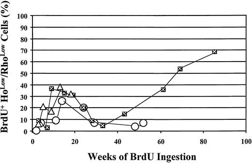 Fig. 4. Incorporation of BrdU by the CD34+Holow/RhoLow cells after prolonged BrdU administration. / Open circles represent data obtained from baboon PA6588, while closed squares with the “X” indicate data obtained from baboon PA6589, and open triangles represent the data from PA6644. CD34+HoLow/RhoLow cells were isolated flow-cytometrically and analyzed for BrdU incorporation by means of anti-BrdU/PI staining. The percentage of BrdU+cells is plotted against the number of weeks of BrdU ingestion, at the end of which time BM aspirates were obtained.