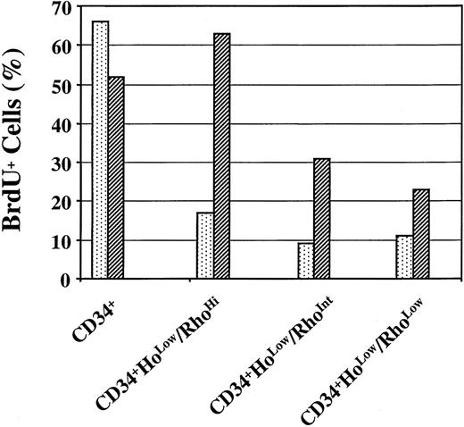 Fig. 7. Incorporation of BrdU by various subsets of primitive hematopoietic cells following G-CSF mobilization. / Low-density cells from the leukapheresis products were enriched for CD34+ cells, and the CD34+Ho/Rho subpopulations were isolated flow-cytometrically. Cells from these various subpopulations were analyzed for their BrdU content flow-cytometrically by means of anti-BrdU/PI staining. Each bar represents data derived from the indicated population of cells in each of 2 animals. ░ indicates PA 5957, ▨ indicates PA6243.