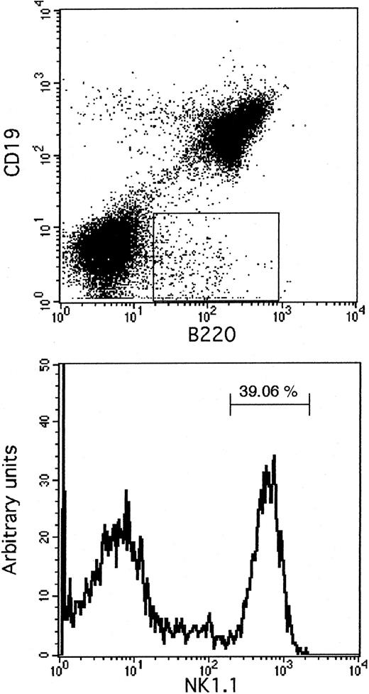 Fig. 1. NK1.1 expression on spleen cells gated from the B220+CD19− population. / Erythrocyte-depleted spleen cells were treated with Fcγ receptor blocker and labeled with rat antimouse PE-conjugated CD19 and FITC-conjugated CD45R (B220). NK1.1 expression was analyzed using biotinylated mouse antimouse NK1.1 (PK 136) mAb and streptavidin–CyChrome as a second-step reagent.