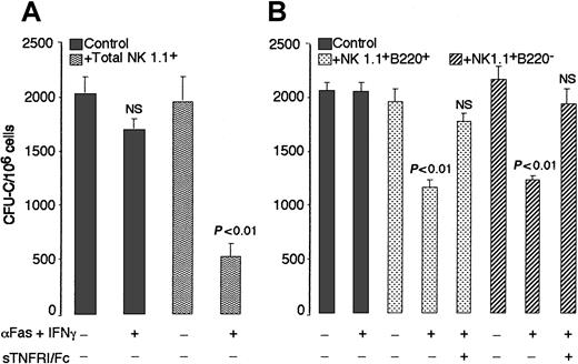 Fig. 2. sTNFRI/Fc chimera blocks the sensitization of CFU-C from NK cell–deficientRAG2-γc−/− spleens to Fas-induced apoptosis on the addition of sorted NK cells. / (A) Total splenocytes (106 cells/mL) from NK cell–deficient mice were incubated for 24 hours in culture medium or anti-Fas mAb (5 μg/mL) plus IFN-γ (100 U/mL) with or without sorted NK1.1+ cells (2 × 105 cells /mL) from wild-type mice. Cells were then recovered and evaluated for colony growth in methylcellulose. Data are means ± SEM from triplicate determinations and represent the typical results of 1 of 2 experiments. (B) The same experiment was performed with sorted B220+ and B220− NK cell subsets with or without sTNFRI/Fc chimera (10 ng/mL). Data are means ± SEM from triplicate determinations. NS, not significant in comparison with controls.