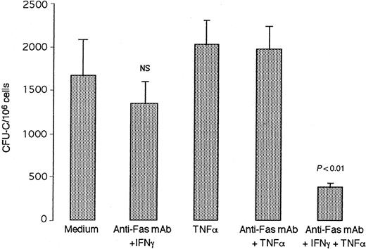 Fig. 3. Exogenous TNF-α restores the susceptibility of splenic CFU-C from NK cell–deficient. / RAG2-γc−/−mice to Fas cross-linking. Spleen cells were incubated for 24 hours in culture medium alone, TNF-α (10 ng/mL), or anti-Fas mAb (5 μg/mL) combined with IFN-γ (100 U/mL), TNF-α, or both. Cells were then recovered and evaluated for colony growth in methylcellulose. Data are means ± SEM from triplicate determinations.