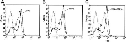 Fig. 5. Up-regulation of Fas expression on progenitor-enriched Lin− spleen cells. / Splenocytes were incubated overnight (15 hours) in culture medium alone (broken line) or together with IFN-γ (100 U/mL) (A), TNF-α (10 ng/mL) (B), or both (solid line) (C). Cells bearing lineage markers were labeled with a cocktail of 5-fold diluted hybridoma supernatants (B220, Thy1, TER119, and GR-1) revealed by mouse antirat F(ab')2. After staining with PE-conjugated anti-Fas mAb (Jo2) (broken and solid line) or isotype control (dotted line), Fas expression was analyzed on gated Lin− cells.