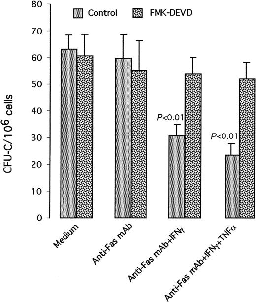 Fig. 6. Irreversible caspase 3 inhibitor fmk-DEVD abrogates the decrease of CFU-C in response to Fas cross-linking in the presence of IFN-γ with or without TNF-α. / Spleen cells were incubated for 24 hours in culture medium alone or in anti-Fas mAb (5 μg/mL) with or without IFN-γ (100 U/mL), TNF-α (10 ng/mL), or both. FMK-DEVD was added 2 hours before the onset of culture at a concentration of 50 μM. IFN-γ, TNF-α, or TNF-α plus anti-Fas mAb had no significant effect compared with culture medium alone (data not shown).