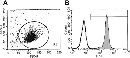 Fig. 1. Representative FACS analysis of CD34+ cell purity isolated from BM MNCs using paramagnetic immuno-beads. / More than 98% of sorted cells expressed CD34+ antigen on the surface.