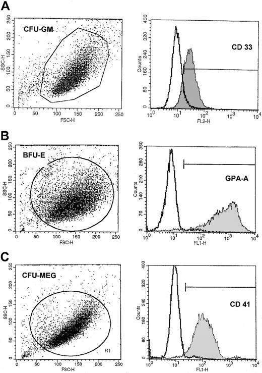 Fig. 2. Representative FACS analysis of purity of CFU-GM–, BFU-E–, and CFU-MEG–derived cells. / The expression of CD33 (A), GPA-A (B), and CD41 (C) on (A) human CFU-GM–, (B) BFU-E–, and (C) CFU-Meg–derived cells (myeloblasts, erythroblasts, and megakaryoblasts, respectively). Lineage-specific cells were expanded from CD34+ cells under serum-free conditions as described in “Materials and methods.”