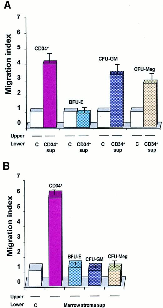 Fig. 5. Chemotaxis of CD34+BM MNCs and normal human hematopoietic cells. / Data are presented as a migration index. The data are representative of 3 experiments yielding similar results. (A) Chemotaxis of freshly isolated CD34+ BM MNCs: day-6 BFU-E–derived; day-6 CFU-GM–derived; day-6 CFU-Meg–derived cells to media conditioned by CD34+ cells (CD34+ sup) or to control media (C). (B) Chemotaxis of normal human hematopoietic cells (CD34+ cells and BFU-E–, CFU-GM–, and CFU-Meg–derived cells) to media conditioned by cells from BM stroma or to a control medium.