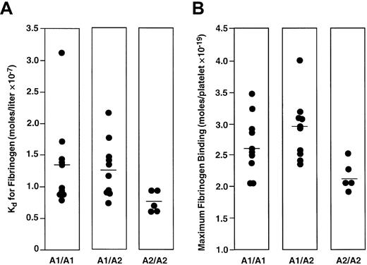Fig. 1. Dissociation constant and maximum fibrinogen binding. / Distribution of the Kd (A) and Bmax (B) of fibrinogen binding to ADP-stimulated platelets from PlA1/PlA1, PlA1/PlA2, and PlA2/PlA2 subjects. The horizontal lines indicate the mean of each distribution.