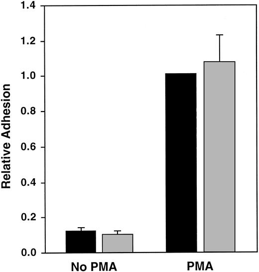 Fig. 4. Adhesion of unstimulated and PMA-stimulated GM1500 B cells expressing PlA1 or PlA2 to immobilized fibrinogen. / Data were normalized for αIIbβ3 expression and were expressed relative to PMA-stimulated cells expressing PlA1. The data shown are the mean and SEM of 7 experiments. ▪, A1; ░, A2.