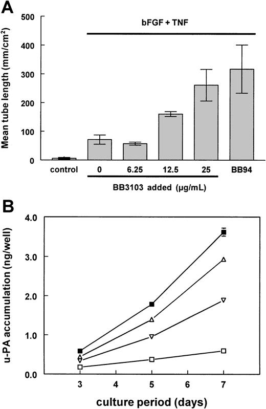 Fig. 2. Effect of BB3103 and BB94 on bFGF/TNF-α–induced tube formation and u-PA accumulation. / The hMVECs were cultured on top of a 3-dimensional fibrin matrix in M199 supplemented with 10% human serum and 10% NBCS (control), or with bFGF (10 ng/mL) and TNF-α (10 ng/mL) in the presence of increasing amounts of BB3103 or 5 μg/mL BB94. (A) After 7 days of culture, total tube length (mm/cm2) was measured using image analysis equipment as described in “Materials and methods.” The data are expressed as the mean of duplicate wells, with the range of the 2 measurements indicated by the error bars, and are representative of 3 independent experiments, respectively. (B) Accumulation of u-PA in the supernatants of the stimulated hMVECs was measured by ELISA as described. The data of control (■), bFGF and TNF-α (▪), and bFGF/TNF-α–stimulated hMVECs in the presence of 25 μg/mL BB3103 (▵) or 5 μg/mL BB94 (▿) are expressed as the mean of duplicate wells (nanograms per well), with the range of the 2 measurements indicated by the error bars, and are representative of 3 independent experiments.