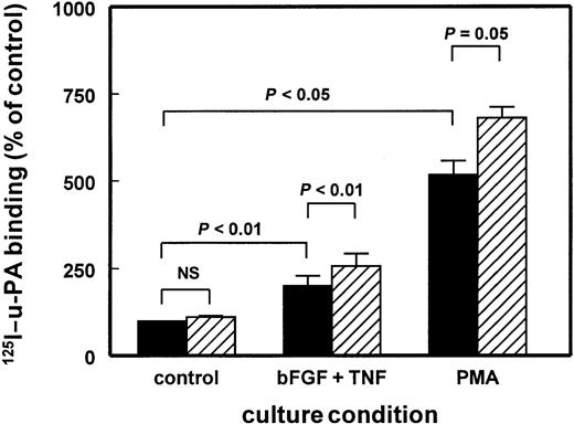 Fig. 4. Increased u-PA binding to hMVECs after BB94 treatment. / The hMVECs were preincubated for 72 hours in M199 supplemented with 10% human serum with or without PMA (10−8 M) or the combination of bFGF (10 ng/mL) and TNF-α (10 ng/mL) in the presence of vehicle (0.1% DMSO) (▪) or 10 μg/mL BB94 (▨). Subsequently, the cells were cooled on ice and the specific binding of 125I–DIP–u-PA to hMVECs was determined in triplicate wells as described in “Materials and methods.” The data represent mean ± SEM of 4 (PMA) or 5 (bFGF/TNF-α) independent experiments.