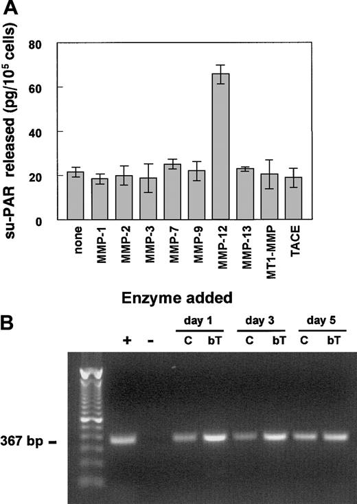 Fig. 6. MMP-12 releases su-PAR fragments from and is expressed in hMVECs in vitro. / (A) Confluent hMVEC cultures, stimulated with the combination of bFGF (50 ng/mL) and VEGF-A (25 ng/mL) to increase u-PAR expression, were washed 3 times with M199 medium supplemented with 0.01% HSA and incubated with the indicated (active) recombinant MMPs (100 ng/mL in M199, 0.01% HSA) for 2 to 4 hours. The supernatants were collected, and the amount of released su-PAR fragments was determined using a su-PAR ELISA and expressed as mean ± SEM (in picograms per 105 cells) of triplicate wells. The data are representative of 3 independent experiments. (B) The mRNAs of the Northern blot experiment of Figure 3 were used for RT-PCR analyses of MMP-12 expression. PCR amplification was obtained after 40 cycles as described by Konttinen et al.52 The + indicates MMP-12+ mRNA of synovial fibroblasts; -, negative control (all reagents without template); C, control hMVECs; and bT, bFGF/TNF-α–stimulated hMVECs.