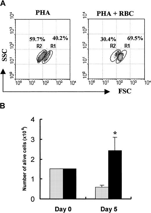 Fig. 3. RBCs inhibit activation-induced T-cell death. / (A) PBLs were stimulated in 6-well plates with PHA-P (5 μg/mL) and cultured for 5 days in the absence or presence of RBCs. After the culture period, activated T-cell blasts were stained with PI, and 10 000 cells were acquired in a FACSort and analyzed using the Lysis II program. Based on morphologic (FSC/SSC) and PI labeling characteristics (Figure 1), regions R1 and R2 represent live and dead cells, respectively. The mean percentage of cells gated within each region from 7 separate experiments is indicated. (B) Total number of live blast cells in cultures with (▪) and without (░) RBCs was determined by trypan blue exclusion, as indicated in “Material and methods.” Results show the mean ± SD of 3 independent experiments. *P < .03.