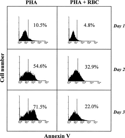 Fig. 4. RBCs reduce the percentage of apoptotic T cells after mitogenic activation. / PBLs were stimulated with PHA and cultured in the absence or presence of RBCs for 1 to 3 days. Cell surface expression of externalized phosphatidylserine by activated T cells was determined by Annexin V-FITC binding. Histograms show Annexin V+ cells gated among PI− cells at days 1, 2, and 3 after activation of PBLs in the absence or presence of RBCs. Annexin V labeling of resting PBL was less than 2%. Data from 1 of 4 separate experiments with similar results are shown.