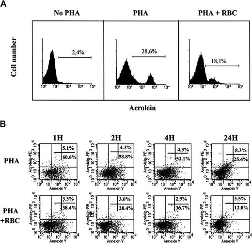 Fig. 7. RBCs reduce oxidative stress in activated human T cells. / (A) Resting human PBLs were activated with PHA for 3 days in the absence or presence of RBCs, as indicated. Cells were collected and stained with 5F6 mAb followed by rabbit-antimouse RPE immunoglobulins, and cells were acquired in a FACSort. Histograms show acrolein staining in resting (day 0, no PHA) and 3-day activated PBLs in the absence (PHA) or presence (PHA+RBC) of RBC. The percentage of acrolein-positive cells is indicated. (B) Resting human PBLs were activated with PHA-P (5 μg/mL) in CM in the absence or presence of RBCs for the times indicated. Activated T cells were harvested and stained with 5F6 mAb plus rabbit-antimouse RPE immunoglobulins and with Annexin V–FITC. Cells were immediately acquired in a FACSort. Dot blots show Annexin V versus acrolein fluorescence in activated T cells 1, 2, 4, and 24 hours after activation in the absence (PHA) or presence (PHA+RBC) of RBCs. One representative of at least 3 separate experiments is shown.